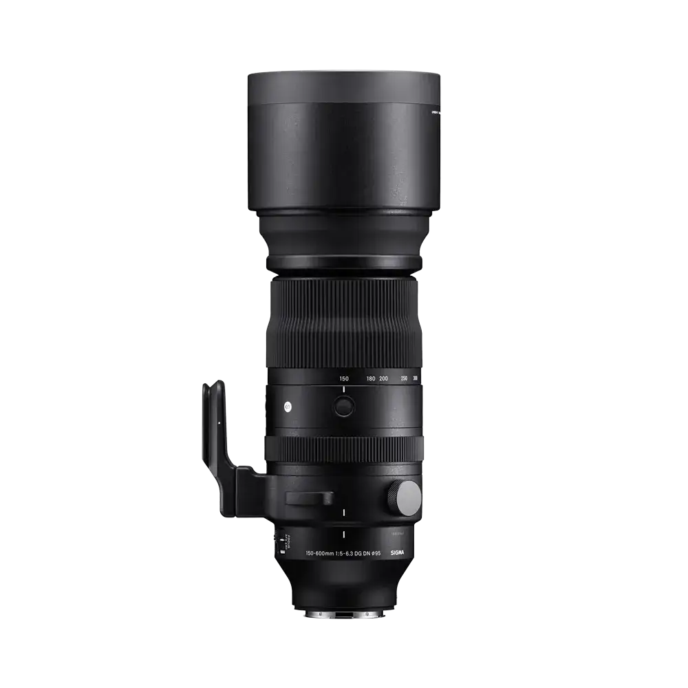 Sigma 150-600mm F5-6.3 DG DN OS | Sports - Sigma